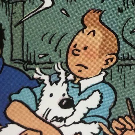 Tintin Aesthetic, Tintin Cartoon, Tintin Comic, Tintin Adventure, Tin Tin Cartoon, Captain Haddock, The Adventures Of Tintin, Adventures Of Tintin, Tin Tin