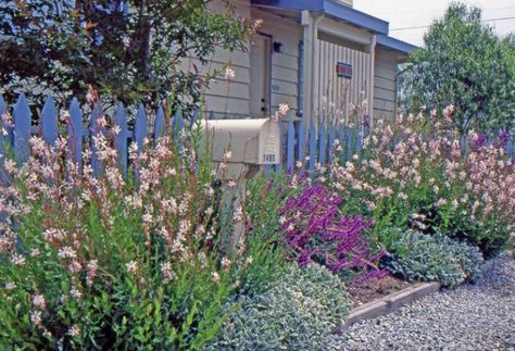 Coastal Landscaping, Seaside Garden, Drought Tolerant Garden, Drought Tolerant Landscape, Cottage Garden Design, Coastal Gardens, English Cottage Garden, Traditional Exterior, Beach Cottage Style