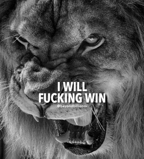 Warrior Motivation, Motivational Quotes For Men, Ambition Quotes, Lion Quotes, Wolf Quotes, Warrior Quotes, Success Motivation, Men Quotes, Strong Quotes