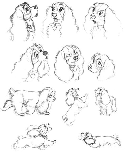 Lady and the tramp- it's amazing how disney animators can give a cartoon dog so much room for various expressions, all with maintaining the simplicity of disney animation Disney Style Drawing Animals, How To Draw Disney Style Dogs, Dog Character Expressions, How To Draw Disney Dogs, Cocker Spaniel Character Design, Vintage Disney Sketches, Pixar Animation Sketches, How To Draw Disney Style Animals, Old Disney Style Drawing