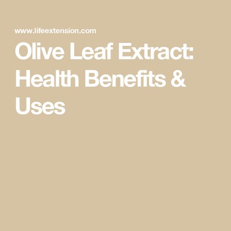 Olive Leaf Extract: Health Benefits & Uses Olive Leaf Extract Benefits Health, Benefits Of Olive Leaf Extract, Olive Leaf Extract Benefits, Olive Leaf Benefits, Olive Leaf Extract, Herbal Remedies Recipes, Great Health, Uric Acid, Ldl Cholesterol