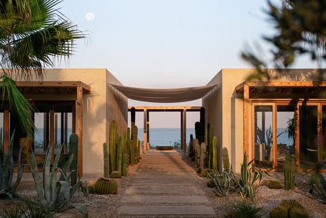 Carl Gerges, Hotel And Resort, Mediterranean Landscaping, Hotel Branding, Pierre Jeanneret, Hospitality Projects, Hotel Boutique, Natural Sunlight, Hotel Suites