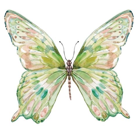 Soft Wings I Poster Print by Carol Robinson-VARPDX40092 Image 1 Canva Designs Aesthetic, Green Watercolor Art, Art Prints For Walls Aesthetic, Poster Prints Colorful, Trendy Poster Prints, Room Posters To Print, Cute Dorm Posters, Simple Prints For Walls, Wall Prints Butterfly