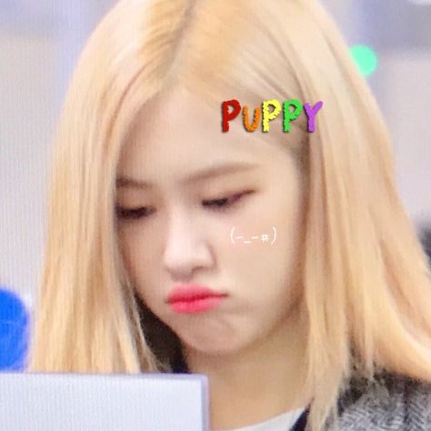 Rosé Cute Blackpink, Rose Cute, Wallpaper Rose, Icons Girls, Blackpink Icons, Rosé Edit, Park Rosé, Cute Rose, Rosé Details