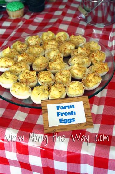 Party Theme Ideas: Barnyard Farm First Birthday Inspiration | * View Along the Way * Farm First Birthday, John Deere Birthday Party, John Deere Birthday, Tractor Birthday Party, Party Theme Ideas, Barnyard Birthday Party, Farm Theme Birthday, Farm Animals Birthday Party, Farm Themed Birthday Party