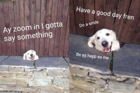 22 Wholesome Memes That'll Make You Smile - Memebase - Funny Memes Good Day Meme, I Love Your Face, Wholesome Stuff, Morning Handsome, Good Morning Handsome, Special A, Just Keep Going, Good Morning Sunshine, Fresh Memes