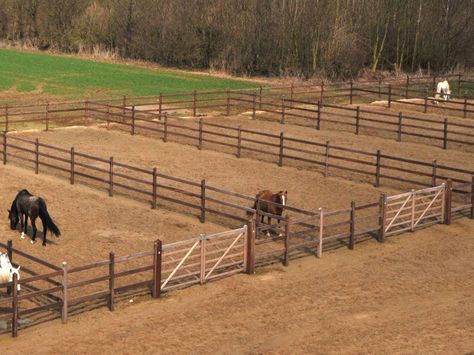 I'd probably put gates on the back to and do a big field back. The small ones could be for new horses or foals. Horse Lot Ideas, Horse Turnout Paddock, Paddocks For Horses, Horse Runs With Shelter, Small Horse Paddock, Foaling Stall Ideas, Small Stable Ideas, Horse Pasture Ideas, Horse Farm Layout