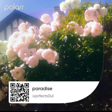 polarrfilters polarr polarrfilter polarrcodes polarrcode filters filter aesthetic edits polarrqrcodes edit editing picsart editinghelp polarrstyles explore polarrfiltercode aestheticfilters polarredit aestheticedits editingneeds Polar Filters Code, Photo Editing Apps Android, Filter Polarr Code, Polarr Filters Code, Snapseed Tutorial, Polar Filter, Polar Filters, Vintage Photo Editing, Photography Editing Apps