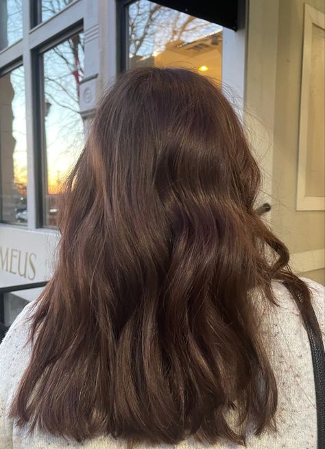 Color and cut by Morgan, owner of Bang Fayetteville. Gloss 5rb 5n 5g (redken color) N5 Hair Color, 5n Hair Color, Casual Hair, Hair Gloss, Redken Color, Casual Hairstyles, Chestnut Brown, Dream Hair, Brunette Hair