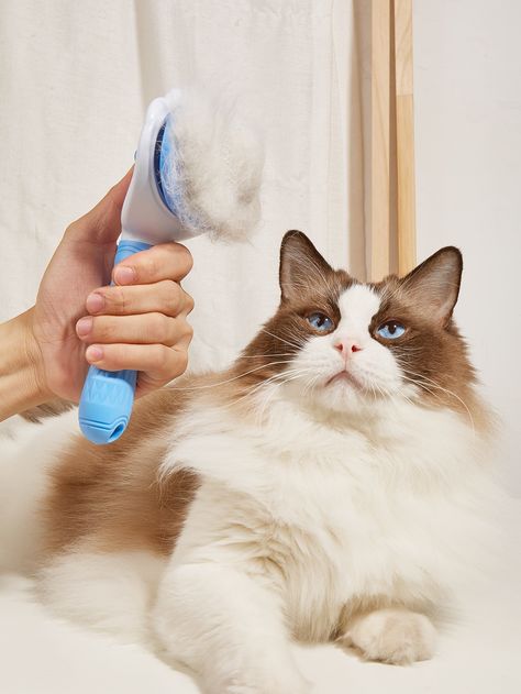 Blue  Collar  ABS Colorblock  Embellished   Pet Grooming Cat Hair Cleaning Hacks, Cat Shampoo And Conditioner, Pet Head Shampoo, Cash Cash, Pet Hair Remover Brush, Pet Hair Remover, Pet Grooming Tools, Pet Hair Removal, Dog Brushing