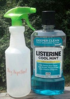 Has anyone tried this? Mosquito Spray. Pinner says: I was at a deck party awhile back, and the bugs were having a ball biting everyone. A man at the party sprayed the lawn and deck floor with Listerine, and the little demons disappeared. The next year I filled a 4-ounce spray bottle and used it around my seat whenever I saw mosquitoes. And voila! That worked as well! Planter Gardens, Listerine Cool Mint, Mosquito Spray, Fly Repellant, Natural Pest Control, Fishing Kit, Bug Repellent, Remodeled Campers, Camping Fun