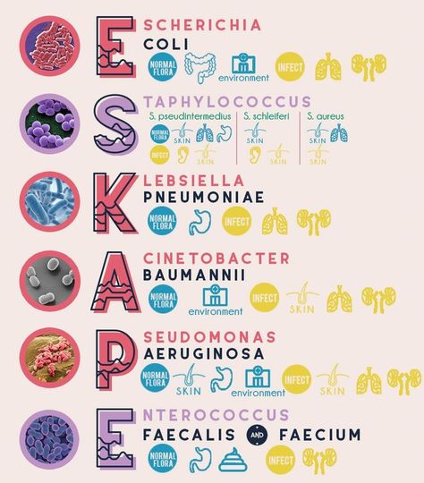 Antibiotics are medicines used to prevent and treat bacterial infections. Antibotic resitance occurs when Airway Management, Bacterial Infection, Natural Health, Medicine, The Conversation, Log In, Drive, Log, Skin