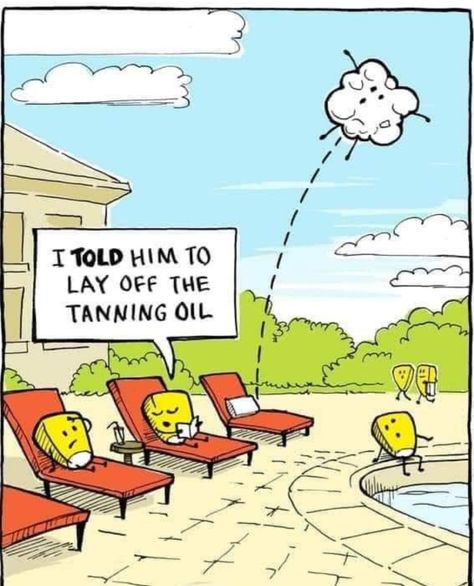 Summer Jokes, Funny Cartoon Pictures, Cartoon Strip, Summer Humor, Corny Jokes, Funny Science Jokes, Science Humor, Clean Humor, Daily Drawing