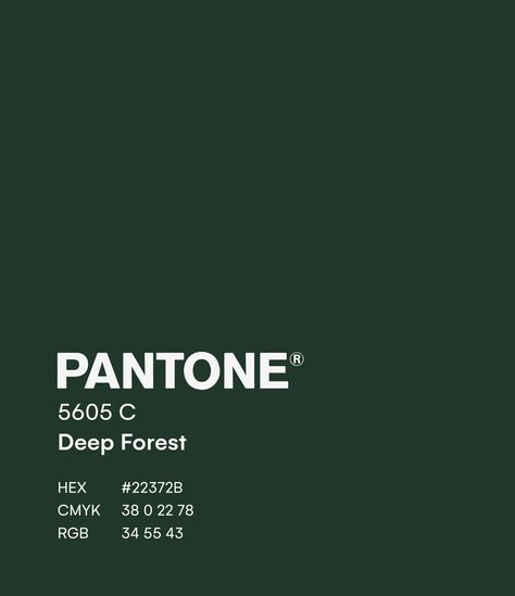 Dark Green Palette, Dark Green Color Palette, Pantone Green, Pantone Color Chart, Pantone Swatches, Colors Combinations, Website Color Palette, Pantone Colour Palettes, Color Schemes Colour Palettes