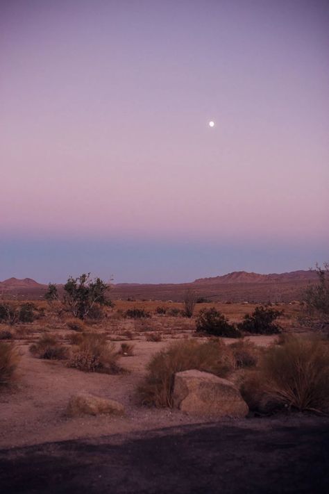 Sharing honest reflections of a weekend in Palm Springs in my Palm Springs travel guide 🌴 My Palm Springs travel diary features everything I loved and didn’t love about my trip to the California desert. Joshua Tree National Park is my favorite part of the area—so worth the drive to Twentynine Palms California for this breathtaking Joshua Tree photoshoot. #joshuatree #palmsprings Palm Springs Scenery, Palm Springs Mountains, Palm Springs Desert Aesthetic, California Joshua Tree, Palm Trees Desert, Palm Tree California, Palm Springs Picture Ideas, California Travel Aesthetic, Palm Springs Trip