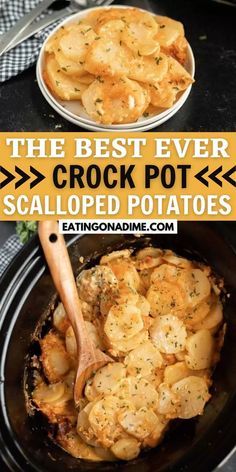 Crock Pot Potato, Cheesy Potatoes Crock Pot, Potato Recipes Crockpot, Scalloped Potatoes Crockpot, Slow Cooker Scalloped Potatoes, Potatoes Healthy, Favorite Casserole Recipes, Slow Cooker Potatoes, Crock Pot Potatoes