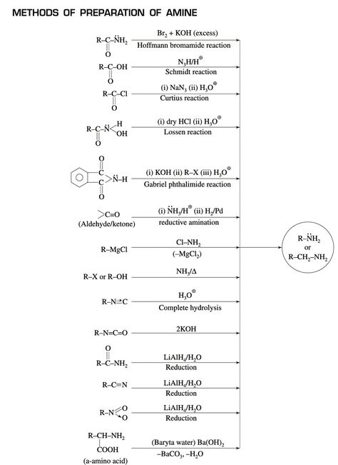 Amines Notes, Amines Class 12 Notes, Academic Notes, Organic Chemistry Notes, Organic Chemistry Reactions, Mohit Kumar, Organic Chem, Organic Chemistry Study, Chemistry Study Guide