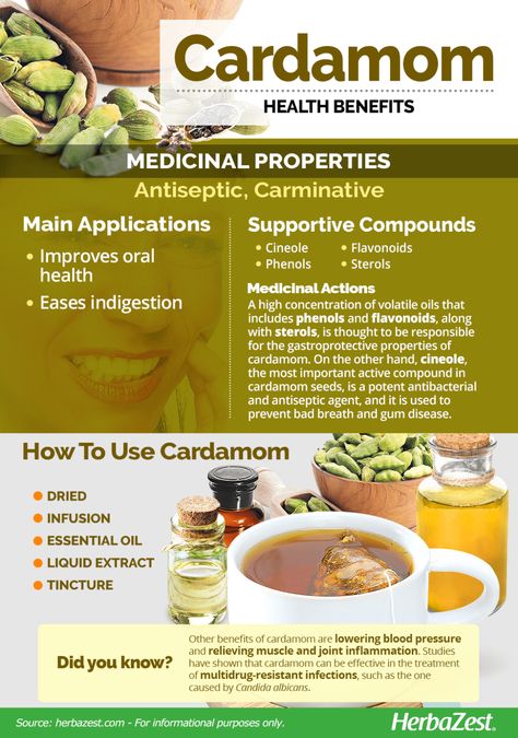 Cardamom | HerbaZest Cardamom Oil Benefits, Cardamom Benefits, Cardamom Plant, Farm Dream, Spice World, Cardamom Essential Oil, Seeds Benefits, Oracle Deck, Upset Stomach