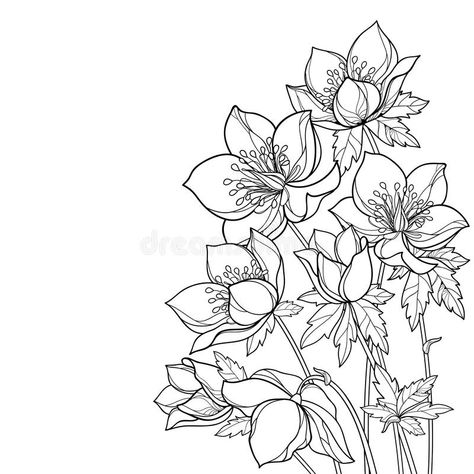 Bouquet Outline, Digital Stamps Free, Mug Noel, Lenten Rose, Goddess Tattoo, Art Nouveau Illustration, Flower Outline, Winter Rose, Rose Drawing