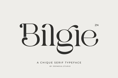 Bilgie Font - Dafont Free Elegant Fonts Free, Beautiful Serif Fonts, Dafont Fonts, Font Love, Modern Fonts Free, Serif Typography, Free Commercial Fonts, Elegant Serif Fonts, Modern Serif Fonts