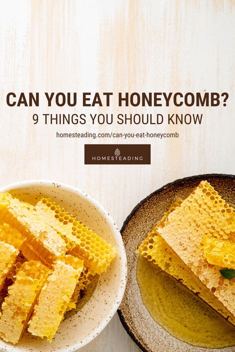 Can you eat honeycomb? Yes! Not only are they edible, but they’re extremely delicious as well! The soft, chewy, jagged wax comb encased in sweet, tangy honey is something dessert-loving foodies wouldn’t want to miss out on. Click the pin to learn more about the benefits of honeycomb! 💛 Honeycomb Recipes Raw, How To Eat Honeycomb, Honey Comb Desserts, What To Do With Honeycomb, Honeycomb Benefits, Honey Pairings, Honeycomb Eating, Eating Honeycomb, Fresh Honeycomb