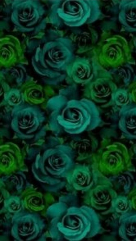 Green Roses Wallpaper, Dark Green Roses Wallpaper, Green Roses, Pink Roses Background, Rose Background, Green Rose, Sky Art, Blue Roses, Green Gifts