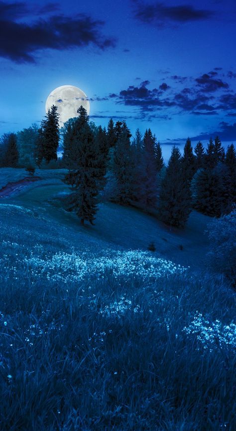 America Flag Wallpaper, Mountains At Night, Dark Planet, Forest Fall, Mountain Meadow, Night Scenery, Visual Aesthetics, Nature Art Painting, Pretty Photos