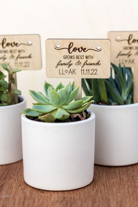 DETAILS
- This listing is for one Personalized "Love Grows Best with Family and Friends" Succulent Stick
- Tag is 2 x 2.5"
- Tag length with arrow at the end 4.8"
- Used with 1/8" Birch wood Plant Favors, Succulent Wedding Favors, Plant Party, Succulent Favors, Party Giveaways, Plant Tags, Succulent Wedding, Plant Gifts, Succulent Plant