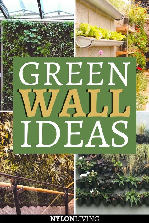 For a small garden space, living walls or green walls are a great idea because you are using less floor space, or simply you want to make a garden wall look better. An incredible green wall design does not have to be out of your budget. Find out how to create an incredible green wall design with green wall planters. #greenwall #gardenwall #gardendecor #gardendesign #gardenideas Garden Accent Wall Outdoor, Green Walls Outdoor Patio, Living Garden Walls Outdoor, Living Green Wall Outdoor, Green Wall Plants Outdoor, Green Wall Outdoor Design, Hanging Wall Garden Outdoor, Diy Green Wall Outdoors, Living Outdoor Wall