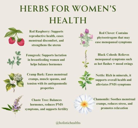 Herbal Plants Medicine, Motherwort Benefits, Medicinal Plants And Their Uses, Herbs For Urinary Tract Infections, Medicinal Properties Of Herbs, Herbs For Sexuality Witchcraft, Abortive Herbs, Natural Abortive Herbs, Herbal Education