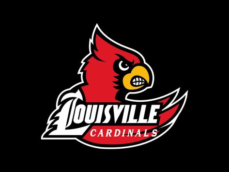 Louisville Cardinals Logo Arizona Cardinals Wallpaper, Cardinals Wallpaper, Louisville Cardinals Basketball, Louisville Football, Baylor Basketball, The Swimmers, Louisville Basketball, Basketball Wallpapers, Basketball Court Flooring