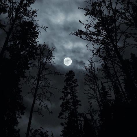 Dark Witchcore, Witchcore Aesthetic, Dark Forest Aesthetic, Dark Castle, Dark Landscape, The Moon Is Beautiful, Night Forest, Dark Paradise, Magic Aesthetic