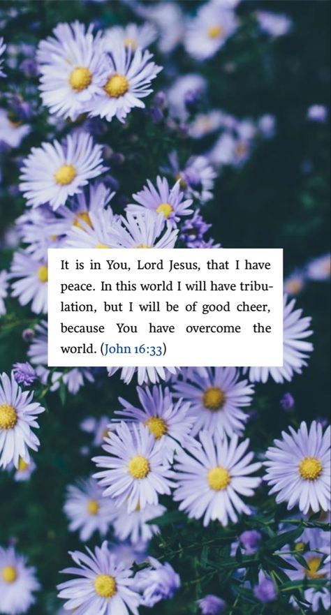 John 16 33 Wallpaper, Wallpaper Bible Quotes, 33 Wallpaper, Jesus Quotes Bible, Be Of Good Courage, Scripture Wallpaper, Wallpaper Bible, Christian Backgrounds, Bible Verses About Faith