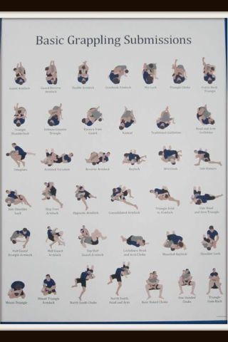 BJJ Submissions Jiu Jutsu, Learn Krav Maga, Jiu Jitsu Techniques, Jiu Jitsu Training, Bjj Jiu Jitsu, Karate Martial Arts, Pencak Silat, Martial Arts Techniques, Ju Jitsu