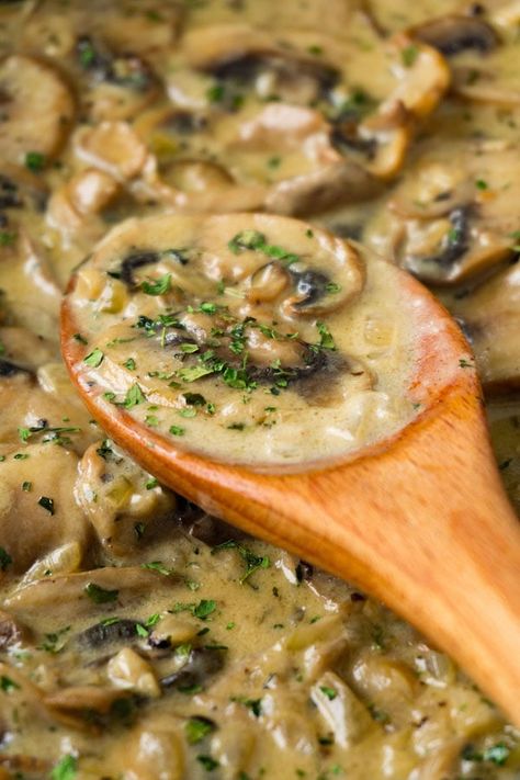 White wine mushroom sauce with cream - Here To Cook Asagio Cheese Recipe, Wine Pasta Sauce, White Wine Pasta Sauce, White Wine Sauce Recipes, Mushroom Sauce Recipe, Mushroom Cream Sauces, Creamy Mushroom Sauce, White Wine Sauce, Marinade Sauce