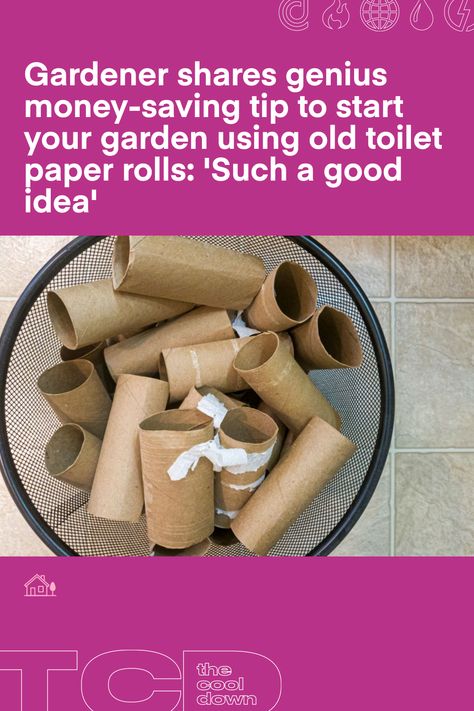 "Instead of buying new things for gardening (seedling trays, plastic pots, watering can etc), I am always using recycled materials." Old Toilet, Old Candle Jars, Seedling Pots, Vegetable Tray, Toilet Paper Tube, Old Candles, Toilet Paper Rolls, Egg Carton, Paper Rolls