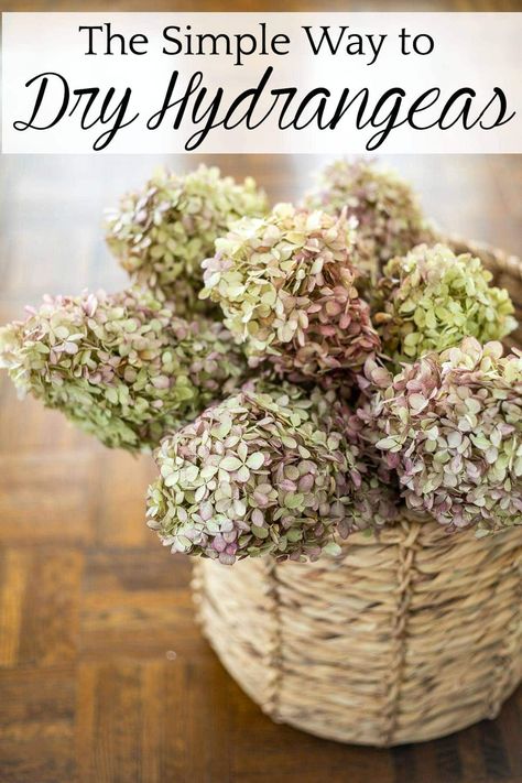 Dry Hydrangea Arrangements, Dry Hydrangeas, Hydrangea Season, Hydrangea Vase, Fall Hydrangea, Fall Boards, Hydrangea Centerpiece, Fall Entryway, Hydrangea Arrangements