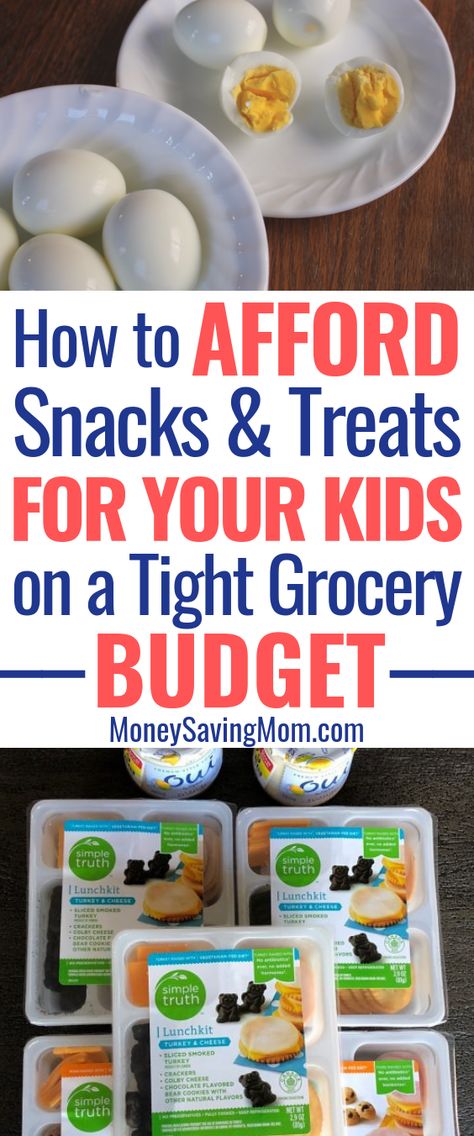 Snacks When Youre Broke, Summer Snacks On A Budget, Cheap And Healthy Snacks, Cheap Kid Snacks, Healthy Snacks On A Budget, Cheap Healthy Snacks For Kids, Snacks You Can Freeze, Cheap Kids Meals, Cheap Healthy Snacks Budget