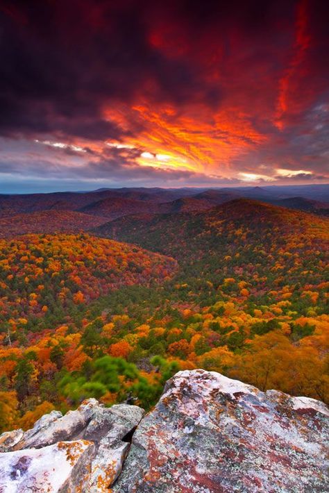 Fiery Ledge, Flatside Pinnacle, Arkansas, USA Arkansas Travel, Autumn Landscape, Go Camping, Beautiful Places To Visit, Travel Usa, Beautiful World, Beautiful Landscapes, Arkansas, Cool Places To Visit