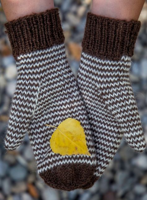 The Mini Chevron Knit Mitten Pattern is both cute and cozy! Sock Ideas, Striped Mittens, Knitting Mittens, Crochet Baby Mittens, Mitten Pattern, Knitted Mittens Pattern, Baby Mittens, Crochet Mittens, Free Knitting Patterns