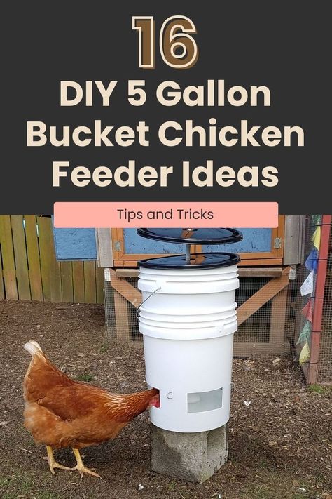 Transform a simple 5-gallon bucket into an efficient feeding system with our 16 DIY chicken feeder ideas. Whether you're a DIY novice or a crafting veteran, these designs cater to all skill levels. Enjoy the satisfaction of creating a functional piece for your flock. Dive into these innovative solutions and keep your chickens well-fed and happy! Gravity Feeder Chicken, Chicken Water Feeder Ideas, Chicken Bucket Feeder, Diy Chicken Feeder Pvc, 5 Gallon Bucket Chicken Feeder, Diy Chicken Feeder Ideas, 5 Gallon Bucket Chicken Waterer, Diy Hanging Chicken Feeder, Hanging Chicken Feeder Ideas