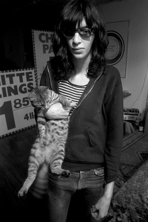 Celebrities With Cats, Joey Ramone, National Cat Day, Popular Photography, Iggy Pop, Punk Rock Bands, Dog People, Cat Club, The New Wave