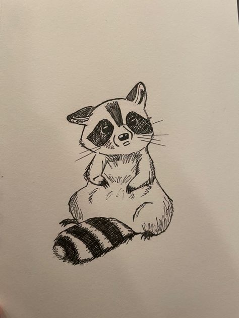 Cute Drawings Of Raccoons, Sketch Ideas Animals Easy, Raccoon Sitting Drawing, Drawing Of Raccoon, Raccoon Pencil Drawing, Pretty Animal Drawings, How To Draw Cartoon Raccoon, Bumble Bee Drawing Step By Step, Fun Animal Doodles