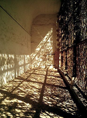 Light And Shade Architecture, Dappled Light Architecture, Architecture Light And Shadow, Light Element Aesthetic, Dapple Light, Dappled Light Photography, Natural Light Aesthetic, Sunlight Interior, Textured Lighting