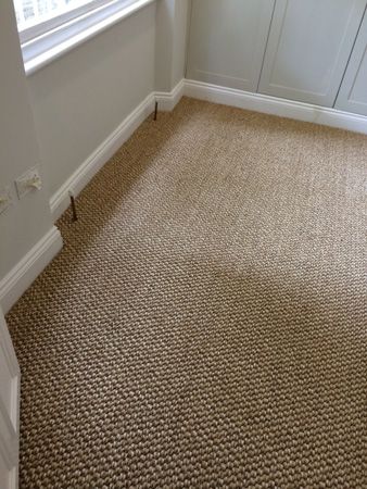 Bedroom | The Flooring Group Carpet For Dogs, Carpet Tiles Ideas, Carpet Runners For Stairs, Runners For Stairs, Carpet Diy, Carpet Staircase, Basement Carpet, Sisal Carpet, Tiles Ideas