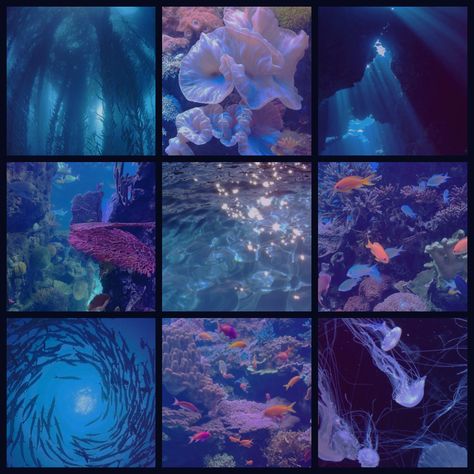 Ocean Moodboard, Fish Aesthetic, Fish Fashion, Adopt Idea, Mood Board Inspiration, Mood Board Design, Aesthetic Images, Aesthetic Collage, Koi Fish