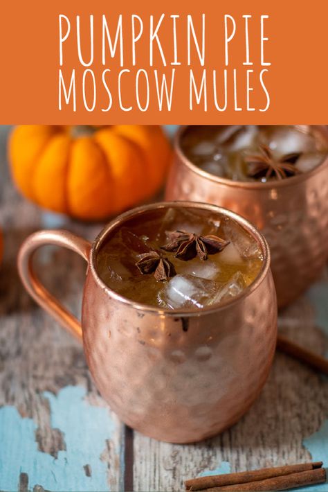 Moscow Mule Recipe, Slice Of Pie, Mule Recipe, Fall Cocktails Recipes, Vanilla Vodka, Pumpkin Butter, Boozy Drinks, Copper Mugs, Fall Cocktails