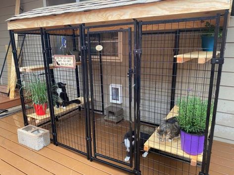 30+ DIY Catio Ideas That Are Totally Pawsome | HubPages Indoor Catio Cats, Garden Cat House, Cat Cages Outdoor, Diy Cat Cage Indoor, Cat Hotel Ideas, Cat Cage Ideas, Cat Cage Diy, Cat Enclosure Ideas, Cat Cage Outdoor