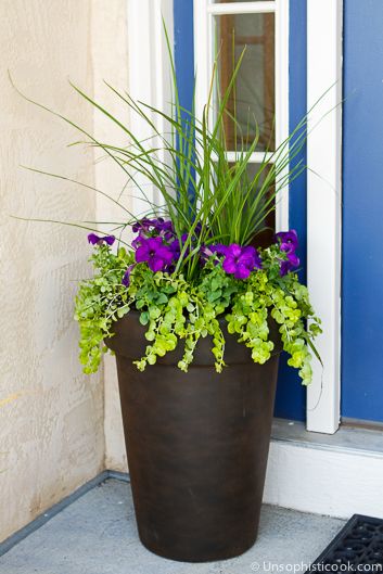 Planting a Perfectly Proportioned Garden Vase -- three easy steps to planting a garden vase that will be a beautiful focal point for your front porch or deck! | via @unsophisticook on unsophisticook.com Start Gardening, Front Porch Flowers, Purple Petunias, Porch Flowers, Garden Vases, Outdoor Flowers, Garden Containers, Deco Floral, Braided Bracelet