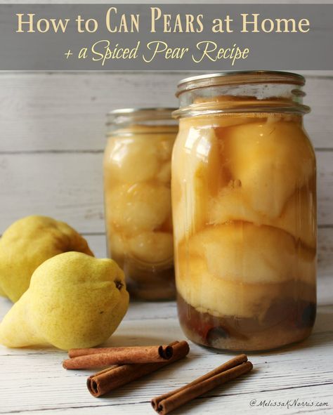 Pear Ideas, How To Can Pears, Can Pears, Pear Pie Filling, Spiced Pears, Freezing Recipes, Harvest Ideas, Canning Pears, Canned Pears